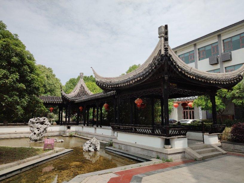 拯救精灵的土地7